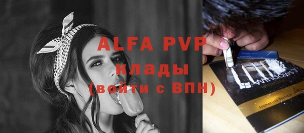 стаф Алзамай
