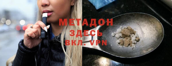 стаф Алзамай