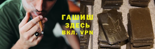 стаф Алзамай