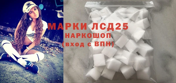 стаф Алзамай