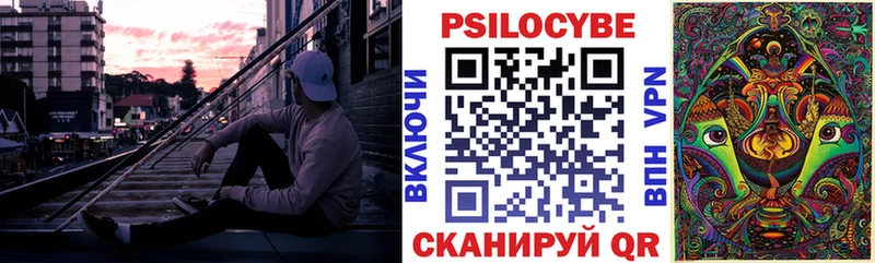 хочу   сайты даркнета как зайти  Псилоцибиновые грибы мицелий  Павловская 