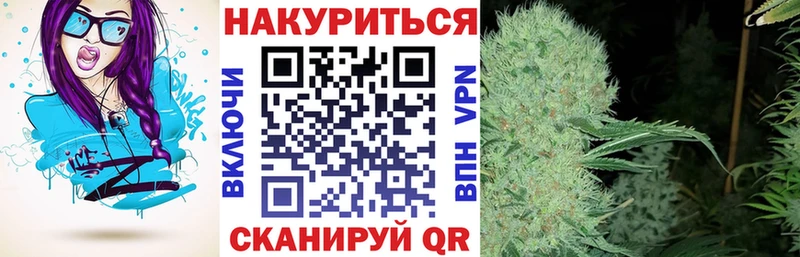 Конопля семена  Павловская 